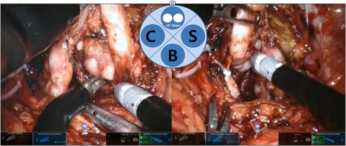 https://cdn.ncbi.nlm.nih.gov/pmc/blobs/3c1c/9034298/67e2439f9f28/gr1.jpg