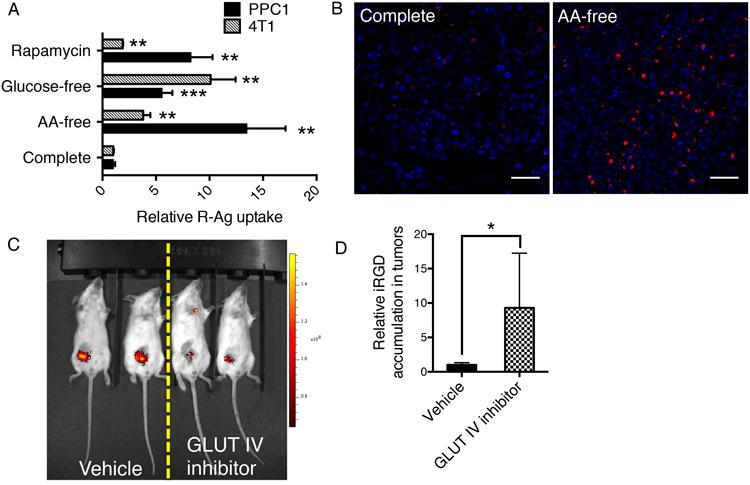 https://cdn.ncbi.nlm.nih.gov/pmc/blobs/3c1e/4185402/cd2fe893df1a/nihms618676f7.jpg