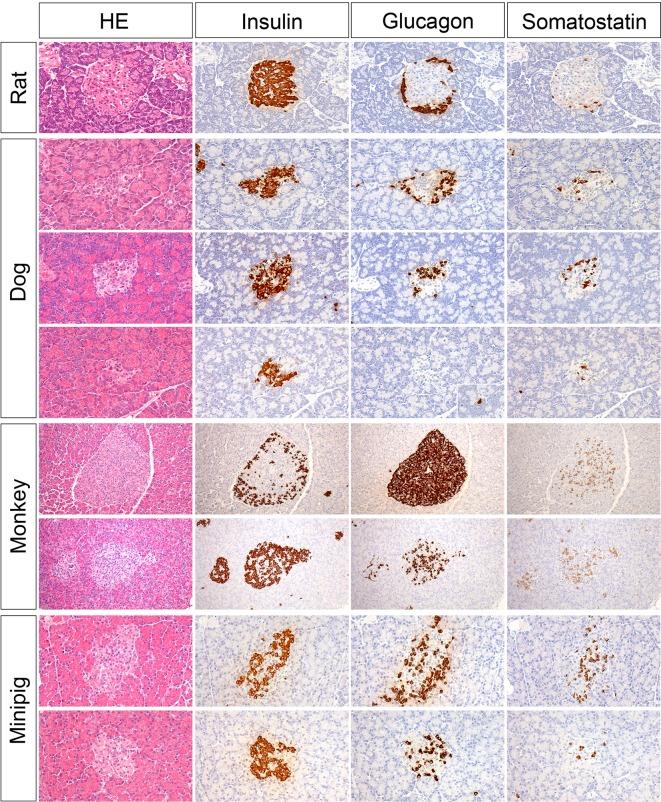https://cdn.ncbi.nlm.nih.gov/pmc/blobs/3c1e/4963614/c9b5c8a4d484/tox-29-147-g004.jpg
