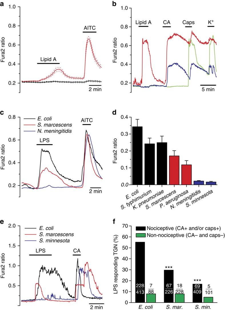 https://cdn.ncbi.nlm.nih.gov/pmc/blobs/3c22/3905718/2cbb7077717b/ncomms4125-f5.jpg