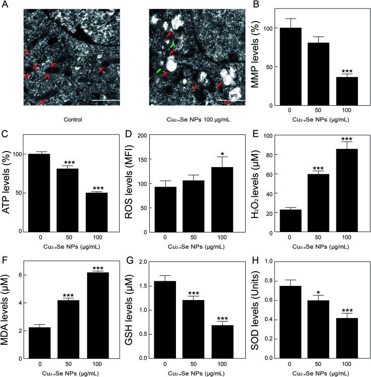 https://cdn.ncbi.nlm.nih.gov/pmc/blobs/3c22/9075139/f33a7827a666/c9ra06245a-f4.jpg