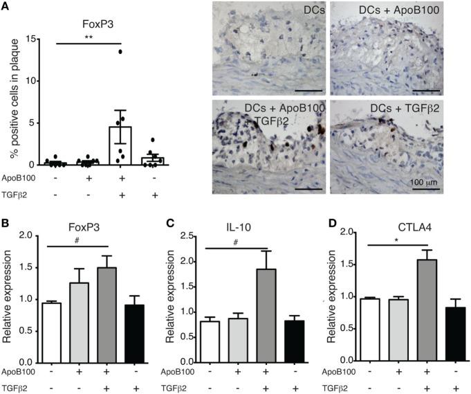 https://cdn.ncbi.nlm.nih.gov/pmc/blobs/3c23/5949314/5bc15f423cb3/fimmu-09-00950-g002.jpg