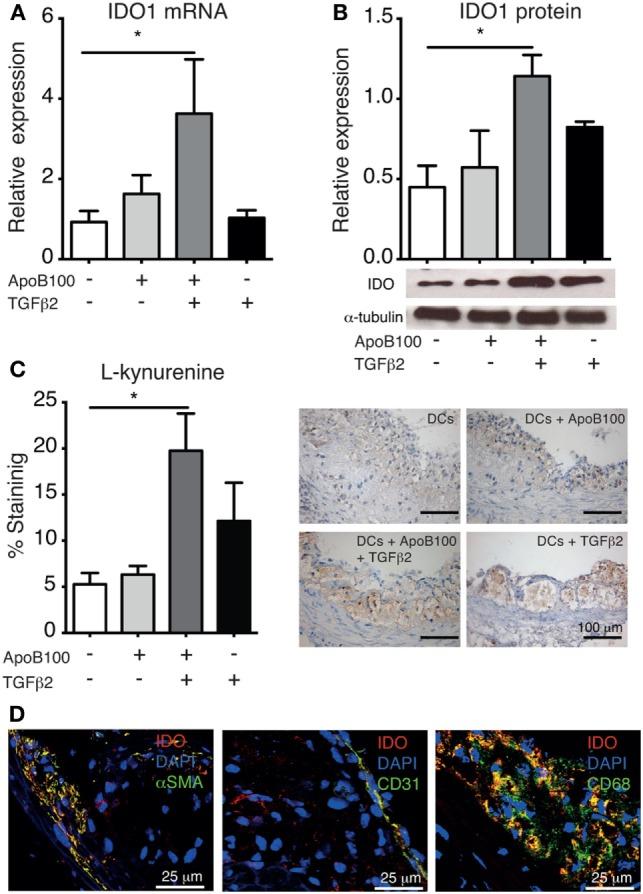 https://cdn.ncbi.nlm.nih.gov/pmc/blobs/3c23/5949314/fe207eaac852/fimmu-09-00950-g003.jpg