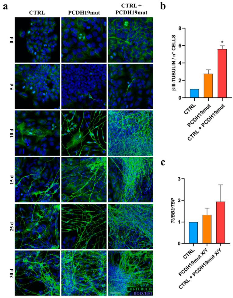 https://cdn.ncbi.nlm.nih.gov/pmc/blobs/3c24/8268119/154f3ef7409b/jcm-10-02754-g003.jpg