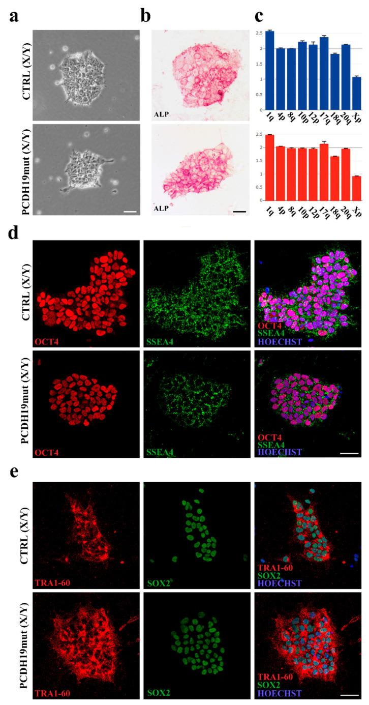 https://cdn.ncbi.nlm.nih.gov/pmc/blobs/3c24/8268119/29ab8f7b0f07/jcm-10-02754-g001.jpg