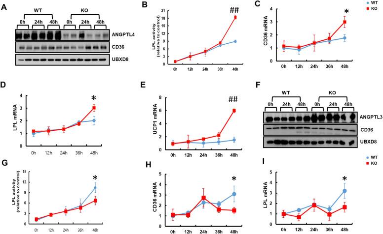 https://cdn.ncbi.nlm.nih.gov/pmc/blobs/3c24/8650429/9b4ede84a4d7/13578_2021_710_Fig4_HTML.jpg