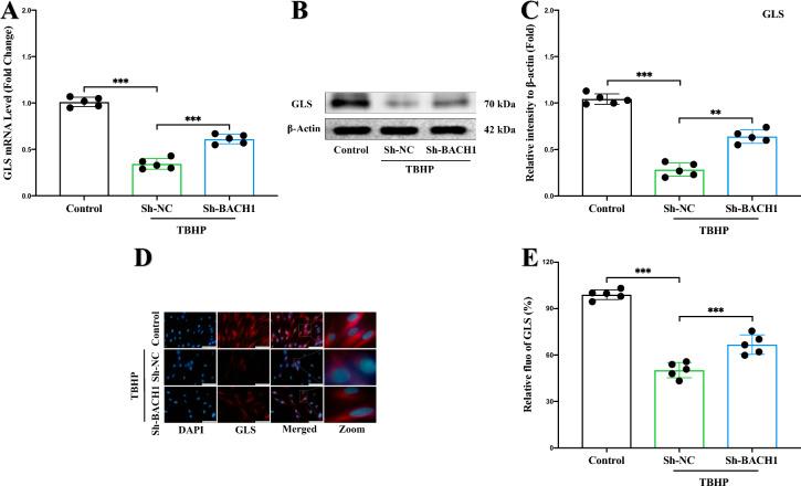 https://cdn.ncbi.nlm.nih.gov/pmc/blobs/3c25/12042394/d56ab9c4724a/13287_2025_4326_Fig4_HTML.jpg