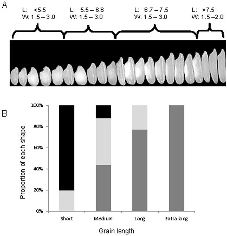 https://cdn.ncbi.nlm.nih.gov/pmc/blobs/3c26/3893639/f5b3c36c4aeb/pone.0085106.g002.jpg