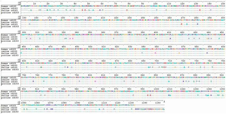 https://cdn.ncbi.nlm.nih.gov/pmc/blobs/3c27/11512392/e20d9c248a19/viruses-16-01563-g004.jpg