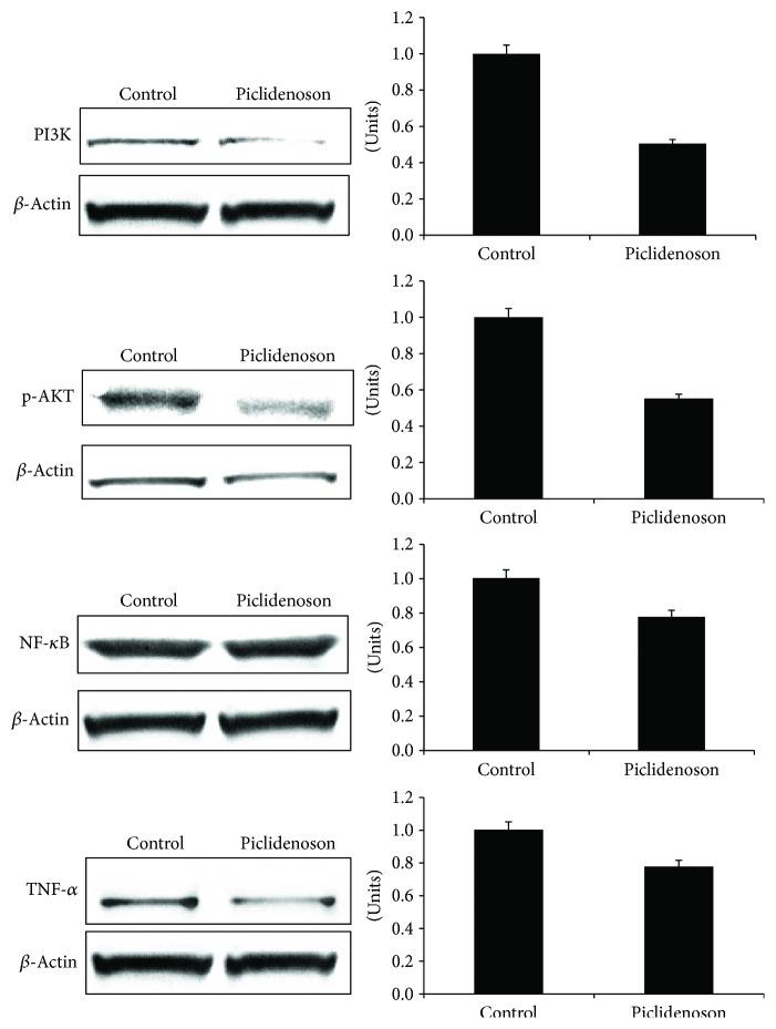 https://cdn.ncbi.nlm.nih.gov/pmc/blobs/3c28/5976987/bbe515313721/JIR2018-2310970.004.jpg