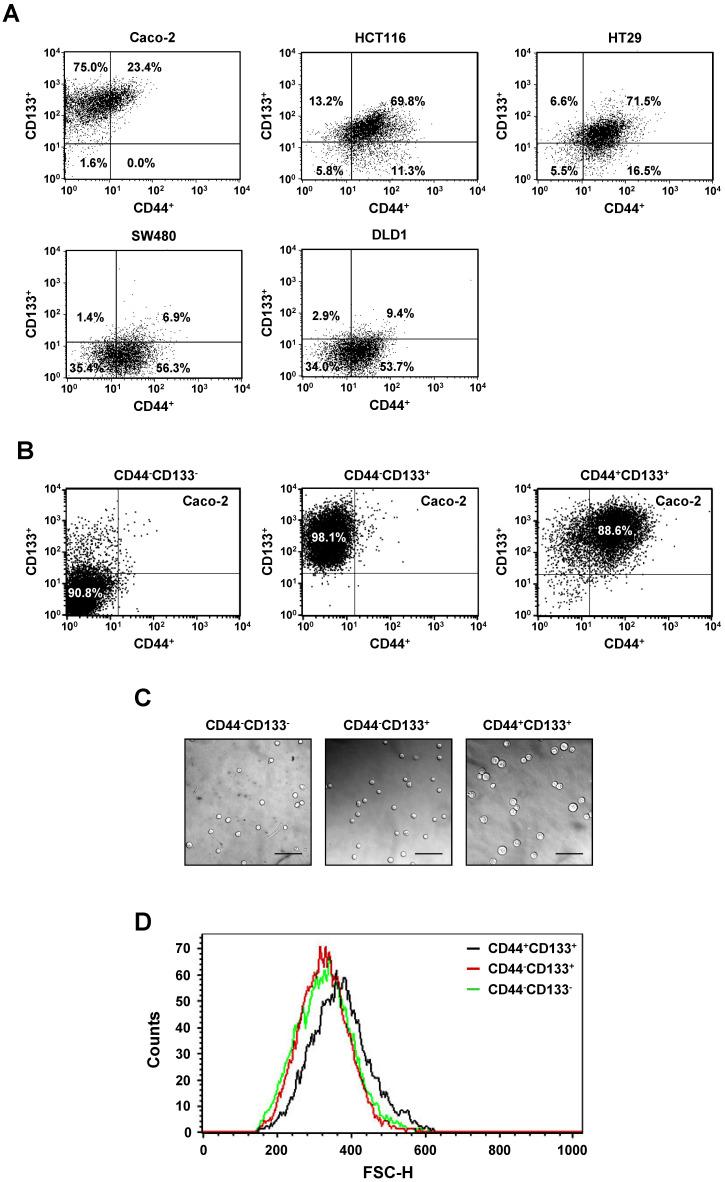 https://cdn.ncbi.nlm.nih.gov/pmc/blobs/3c29/8120464/38dd4422f206/ijbsv17p1644g001.jpg