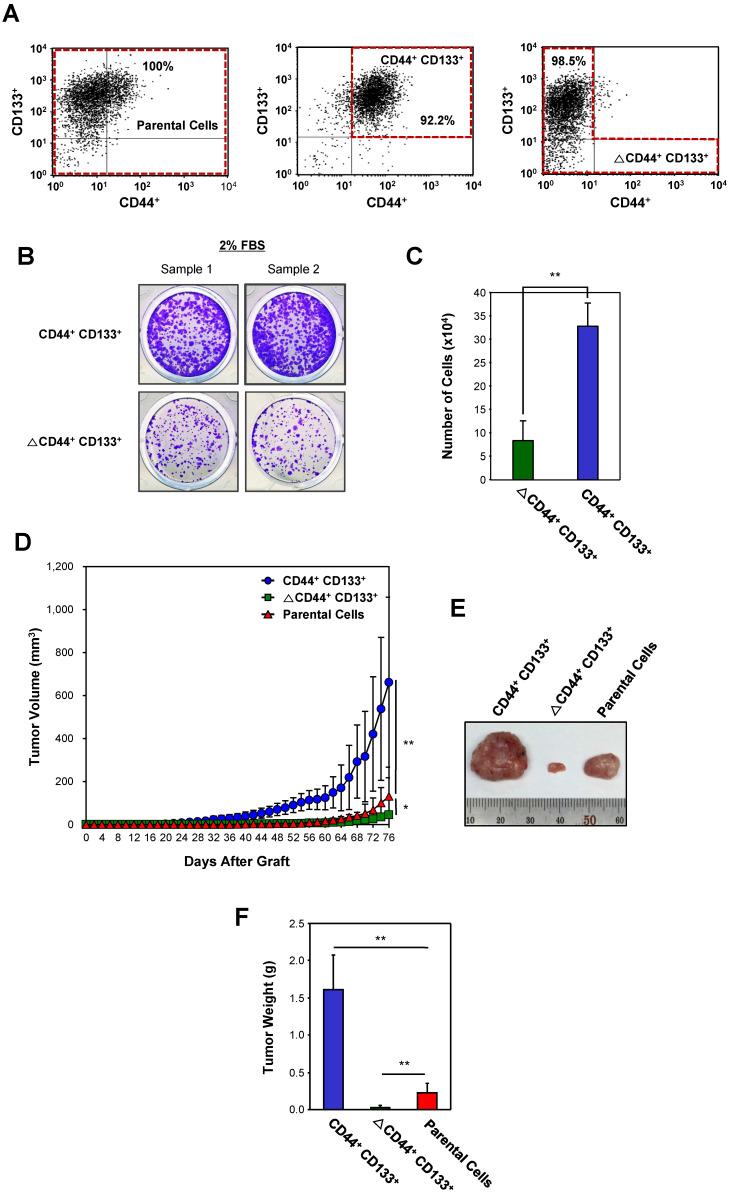 https://cdn.ncbi.nlm.nih.gov/pmc/blobs/3c29/8120464/ae2b4443deca/ijbsv17p1644g003.jpg