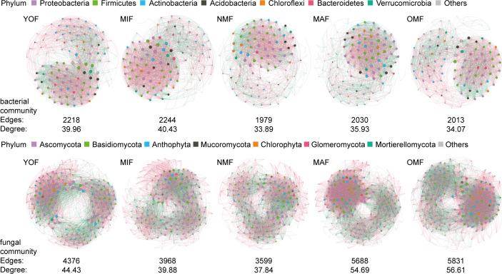 https://cdn.ncbi.nlm.nih.gov/pmc/blobs/3c2a/11302042/60f7b808ff10/spectrum.04075-23.f003.jpg