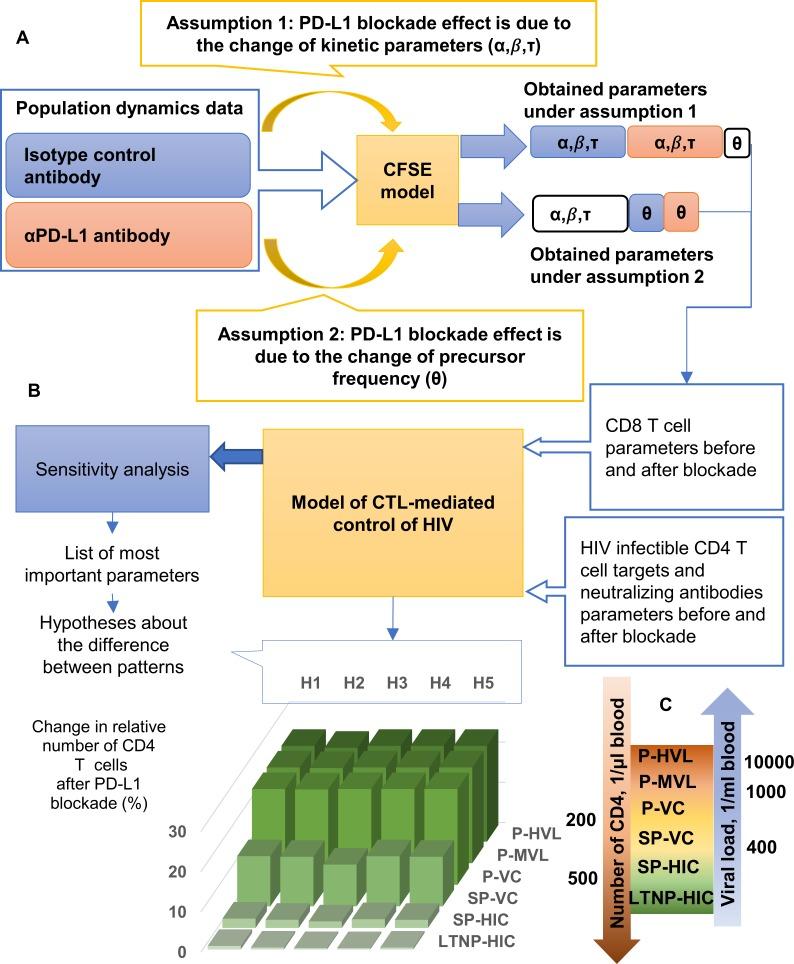https://cdn.ncbi.nlm.nih.gov/pmc/blobs/3c2e/6834253/146658c6be44/pcbi.1007401.g001.jpg