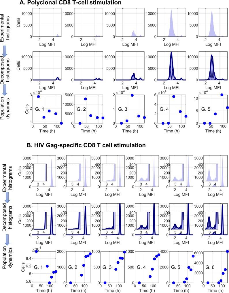 https://cdn.ncbi.nlm.nih.gov/pmc/blobs/3c2e/6834253/49e129d9eea1/pcbi.1007401.g002.jpg