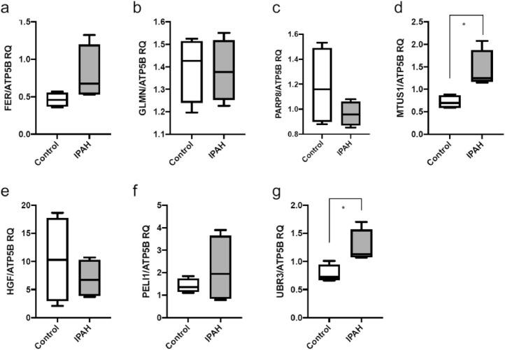 https://cdn.ncbi.nlm.nih.gov/pmc/blobs/3c2f/8243351/e1e30476a907/gr6.jpg