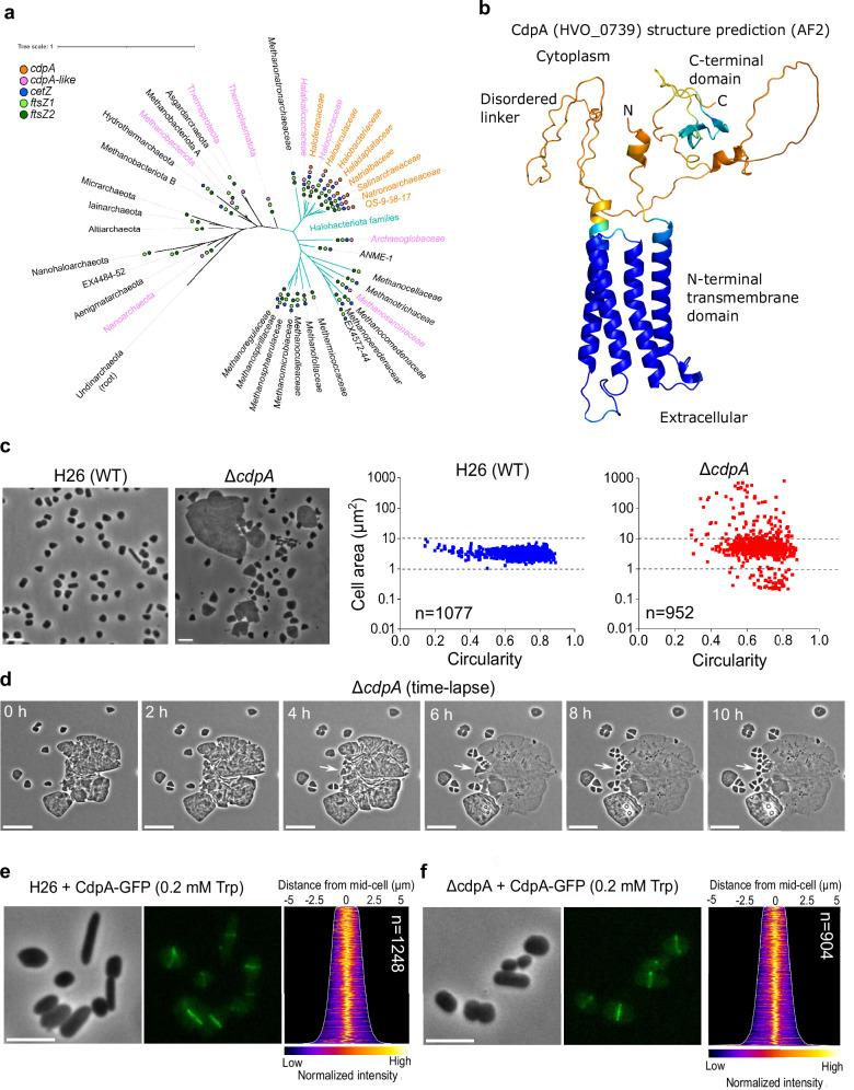 https://cdn.ncbi.nlm.nih.gov/pmc/blobs/3c31/12126565/987736e6a1a4/41467_2025_60079_Fig1_HTML.jpg