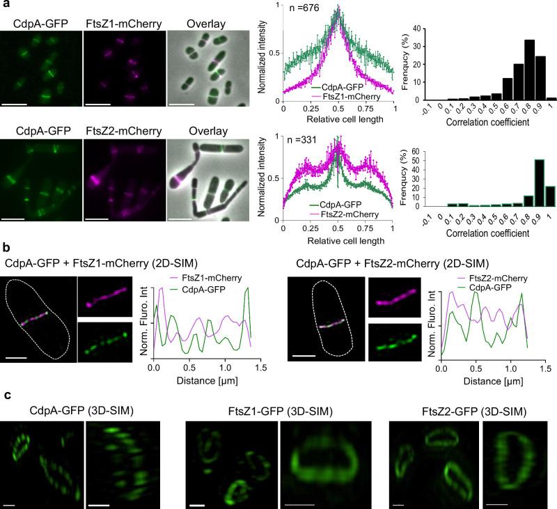 https://cdn.ncbi.nlm.nih.gov/pmc/blobs/3c31/12126565/d97a96f5a573/41467_2025_60079_Fig2_HTML.jpg