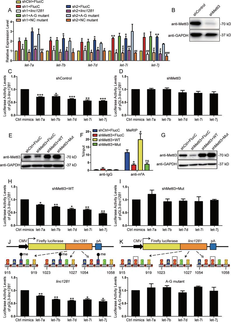 https://cdn.ncbi.nlm.nih.gov/pmc/blobs/3c31/5934679/77bd11cb52d5/gky130fig4.jpg