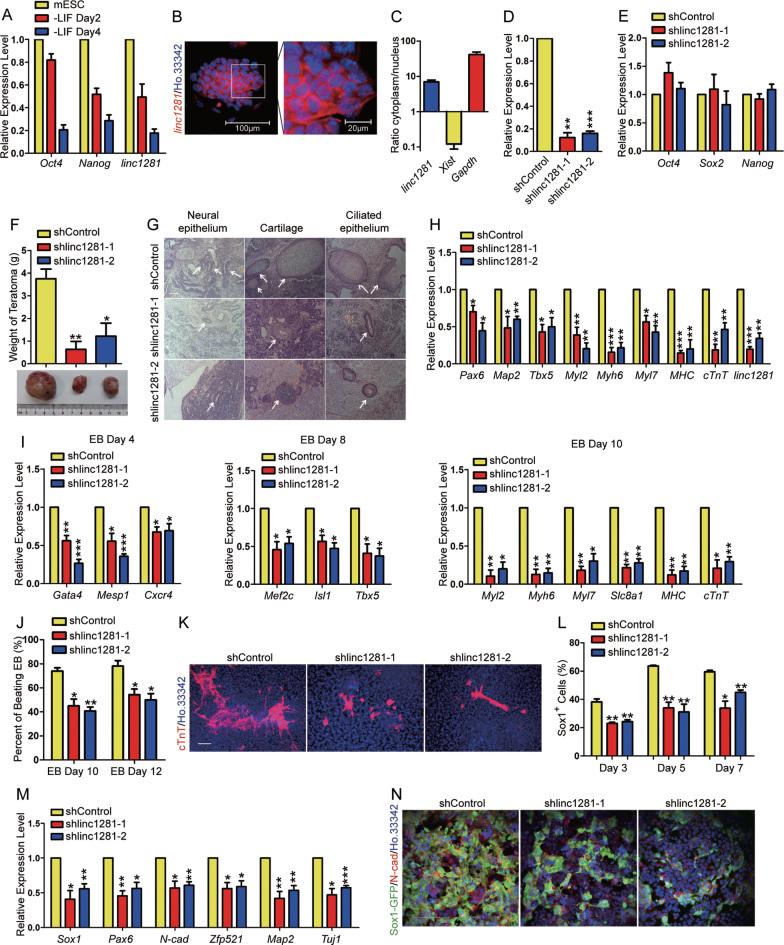 https://cdn.ncbi.nlm.nih.gov/pmc/blobs/3c31/5934679/b313658c3f40/gky130fig1.jpg