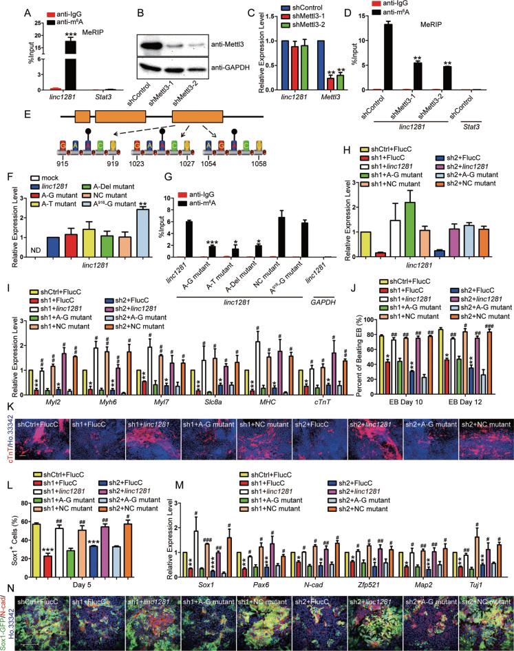 https://cdn.ncbi.nlm.nih.gov/pmc/blobs/3c31/5934679/ccab3d948336/gky130fig2.jpg
