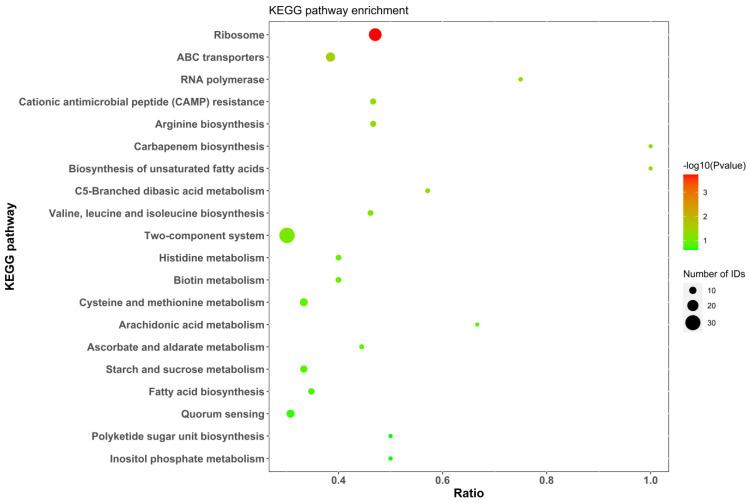 https://cdn.ncbi.nlm.nih.gov/pmc/blobs/3c32/10974988/3fc1b347f7f3/molecules-29-01413-g010.jpg