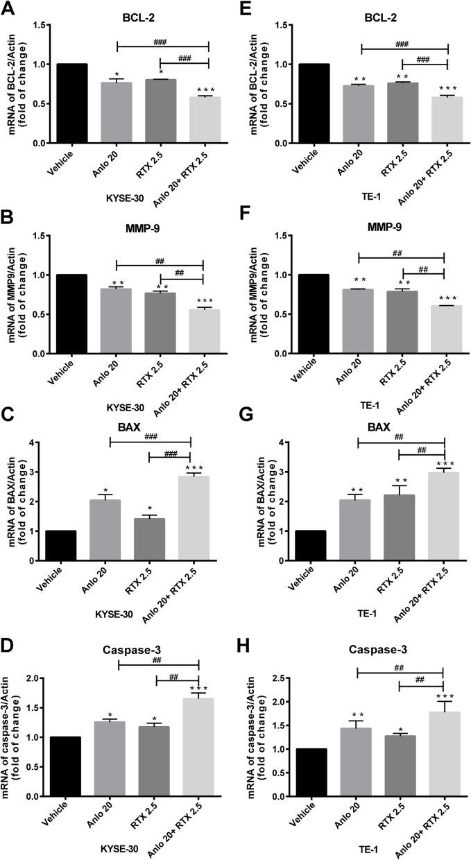 https://cdn.ncbi.nlm.nih.gov/pmc/blobs/3c33/9985835/2e2597a4308b/12885_2023_10691_Fig6_HTML.jpg