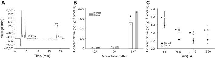 https://cdn.ncbi.nlm.nih.gov/pmc/blobs/3c35/9234501/f659de21a098/jexbio-225-243404-g6.jpg