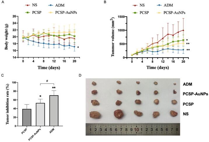 https://cdn.ncbi.nlm.nih.gov/pmc/blobs/3c35/9246265/9516583f9e99/IDRD_A_2092238_F0006_C.jpg
