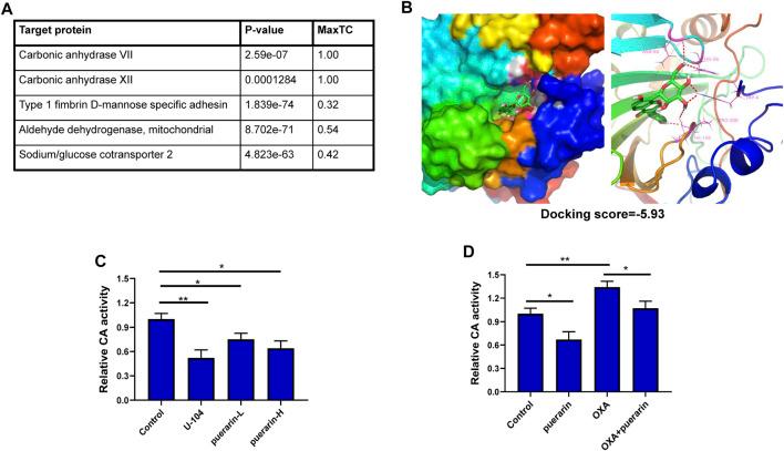 https://cdn.ncbi.nlm.nih.gov/pmc/blobs/3c37/9453025/fcc2158de584/fphar-13-969422-g005.jpg