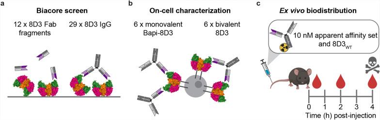 https://cdn.ncbi.nlm.nih.gov/pmc/blobs/3c3d/11980351/ea7df82783f2/12987_2025_643_Fig1_HTML.jpg