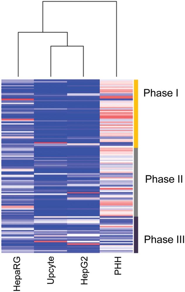 https://cdn.ncbi.nlm.nih.gov/pmc/blobs/3c3f/4583060/e20360049658/kfv136f3p.jpg