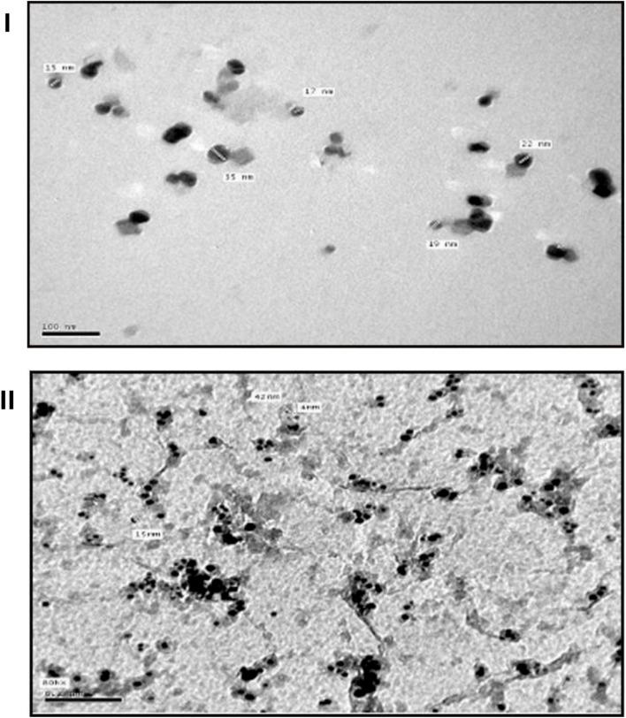 https://cdn.ncbi.nlm.nih.gov/pmc/blobs/3c40/12352697/02ea5d280e7c/d5na00644a-f2.jpg