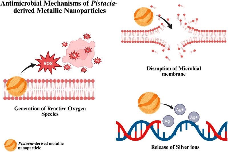 https://cdn.ncbi.nlm.nih.gov/pmc/blobs/3c40/12352697/44b2ce015dd9/d5na00644a-f14.jpg