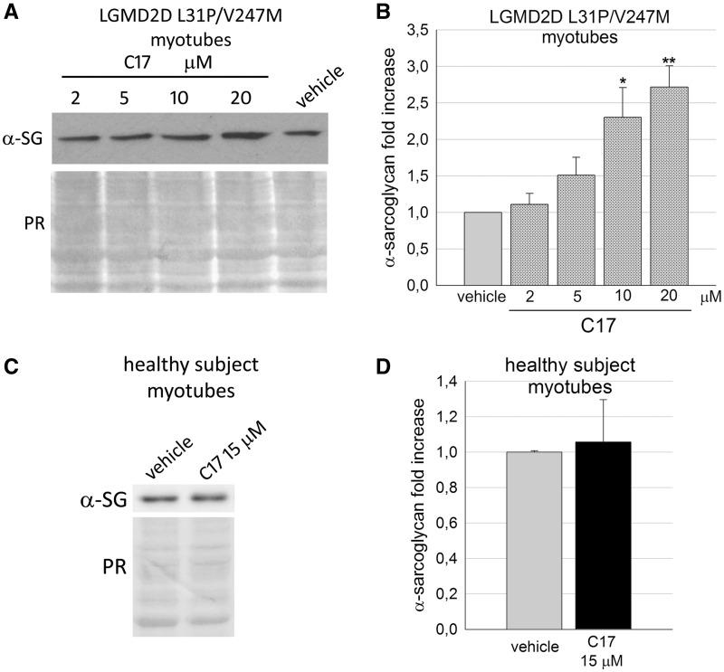 https://cdn.ncbi.nlm.nih.gov/pmc/blobs/3c41/5886177/487d20afbaa9/ddy013f4.jpg