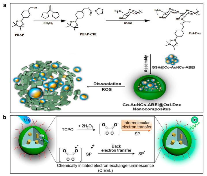https://cdn.ncbi.nlm.nih.gov/pmc/blobs/3c42/10254534/9c76c19faf17/nanomaterials-13-01726-g005.jpg