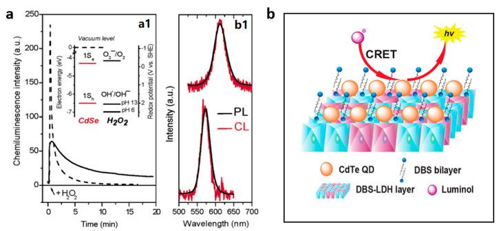 https://cdn.ncbi.nlm.nih.gov/pmc/blobs/3c42/10254534/f5ace40a2a88/nanomaterials-13-01726-g003.jpg