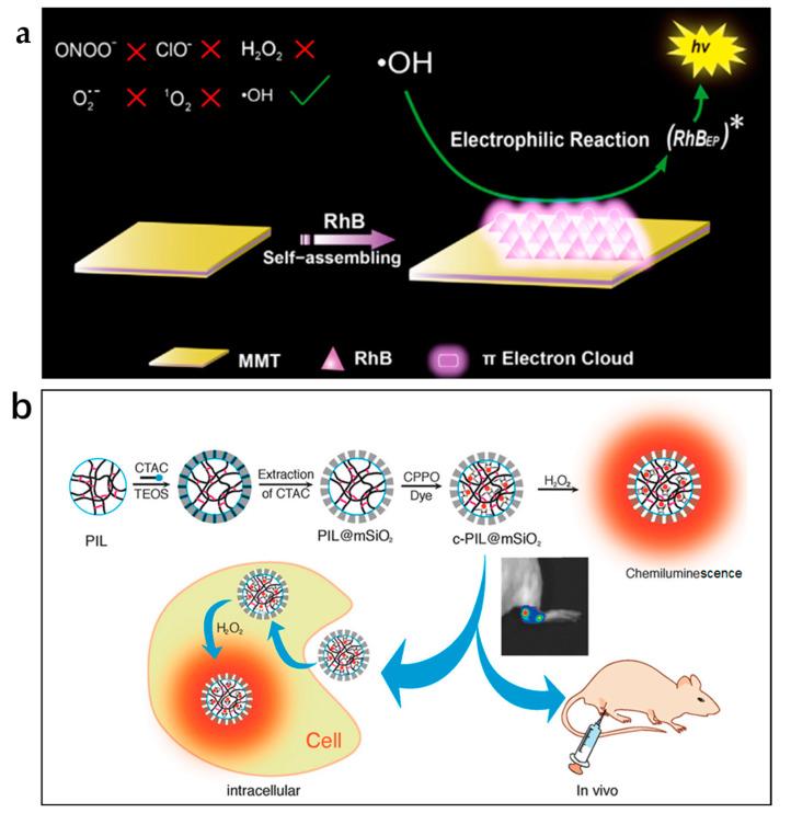 https://cdn.ncbi.nlm.nih.gov/pmc/blobs/3c42/10254534/f5fd94b036af/nanomaterials-13-01726-g004.jpg