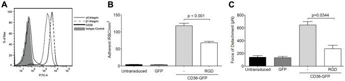 https://cdn.ncbi.nlm.nih.gov/pmc/blobs/3c45/3757042/e03b02677e84/ppat.1003590.g006.jpg