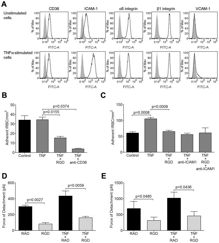 https://cdn.ncbi.nlm.nih.gov/pmc/blobs/3c45/3757042/e6a45f17a23c/ppat.1003590.g003.jpg