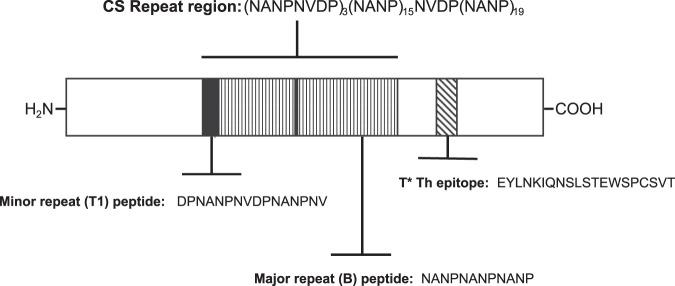 https://cdn.ncbi.nlm.nih.gov/pmc/blobs/3c45/7813878/0e166a9c35bd/41541_2020_272_Fig1_HTML.jpg