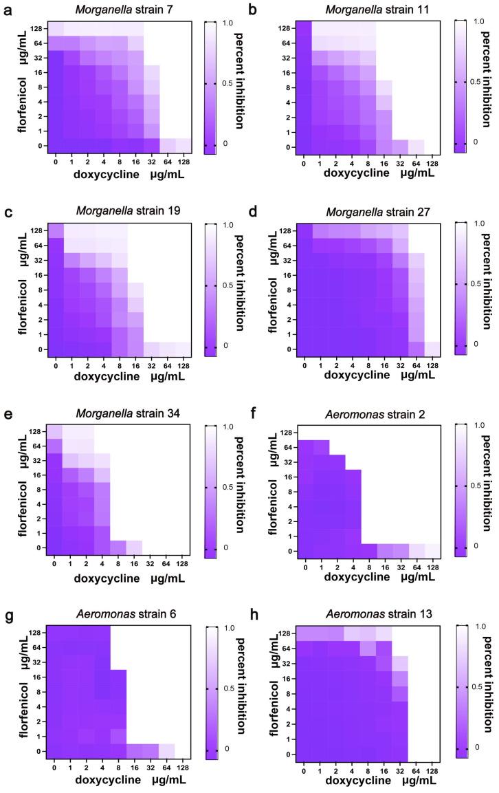 https://cdn.ncbi.nlm.nih.gov/pmc/blobs/3c46/12298653/bba160a7f881/vetsci-12-00611-g003.jpg