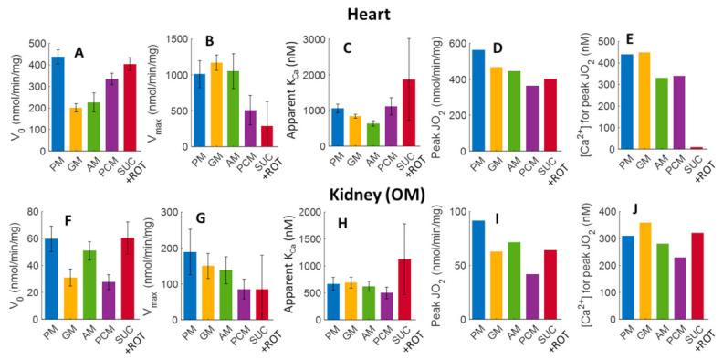 https://cdn.ncbi.nlm.nih.gov/pmc/blobs/3c46/8750792/3bac200bf196/cells-11-00131-g009.jpg