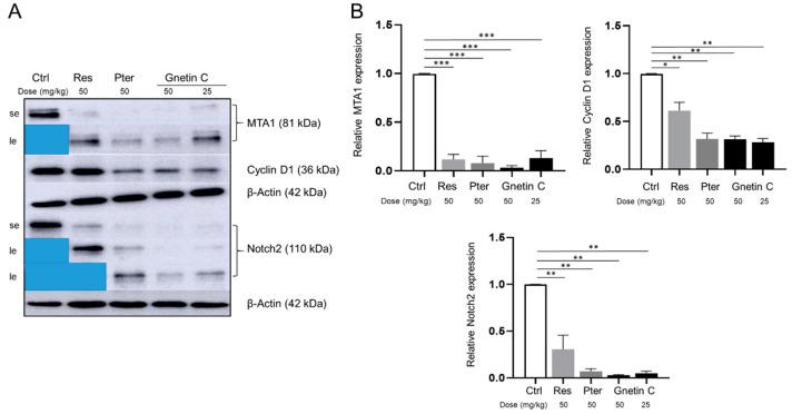 https://cdn.ncbi.nlm.nih.gov/pmc/blobs/3c48/7760540/24efc32d08d0/nutrients-12-03631-g006.jpg