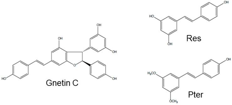 https://cdn.ncbi.nlm.nih.gov/pmc/blobs/3c48/7760540/7b01d7035fd5/nutrients-12-03631-g001.jpg