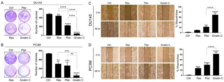https://cdn.ncbi.nlm.nih.gov/pmc/blobs/3c48/7760540/c9461a25c8ba/nutrients-12-03631-g003.jpg