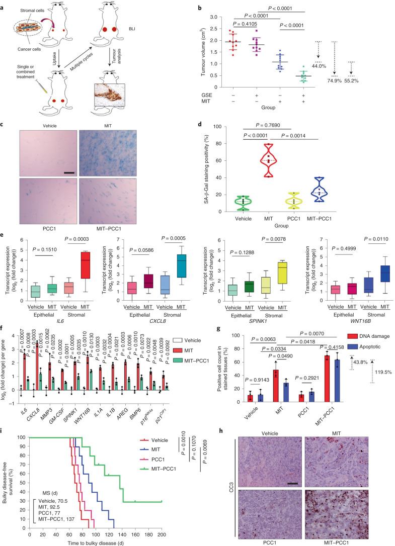https://cdn.ncbi.nlm.nih.gov/pmc/blobs/3c48/8688144/7bad04dedf78/42255_2021_491_Fig5_HTML.jpg