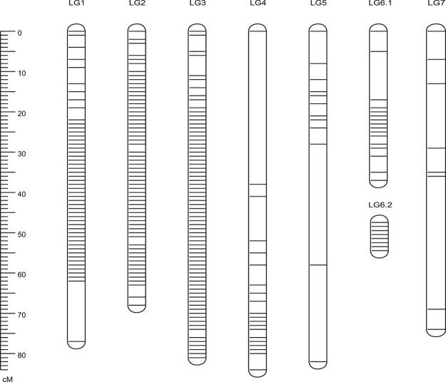 https://cdn.ncbi.nlm.nih.gov/pmc/blobs/3c4b/6461668/69a1d5f681e0/41598_2019_42428_Fig2_HTML.jpg