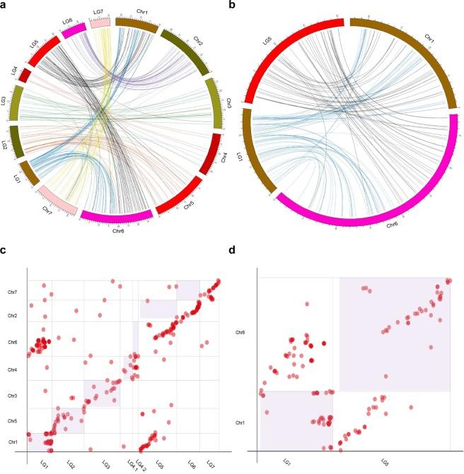 https://cdn.ncbi.nlm.nih.gov/pmc/blobs/3c4b/6461668/d984dd58f203/41598_2019_42428_Fig5_HTML.jpg