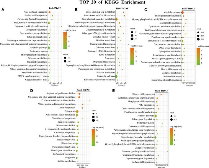 https://cdn.ncbi.nlm.nih.gov/pmc/blobs/3c4b/9511224/ed4105d7f997/fpls-13-958808-g005.jpg